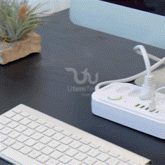 GIF